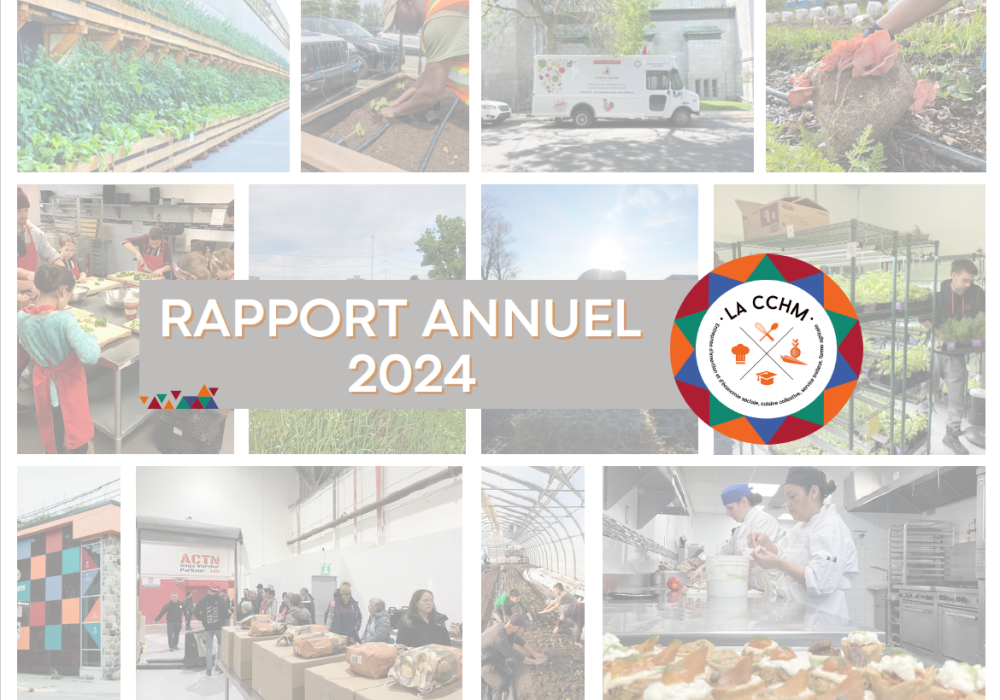 rapport-annuel-2023-2024