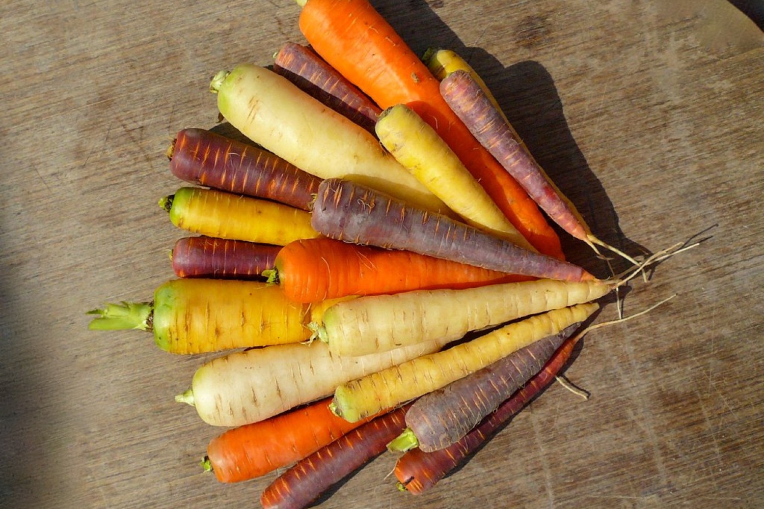 carottes-couleur-lb