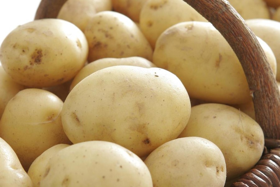 pommes-de-terre-blanches-2lb