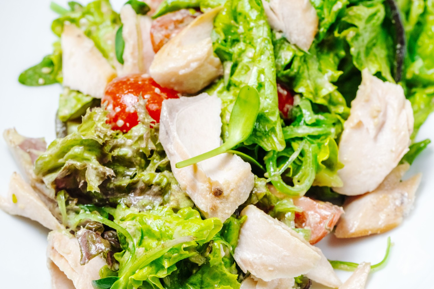 salade-repas-la-festive-effiloche-de-dinde-sans-gluten-et-sans-lactose