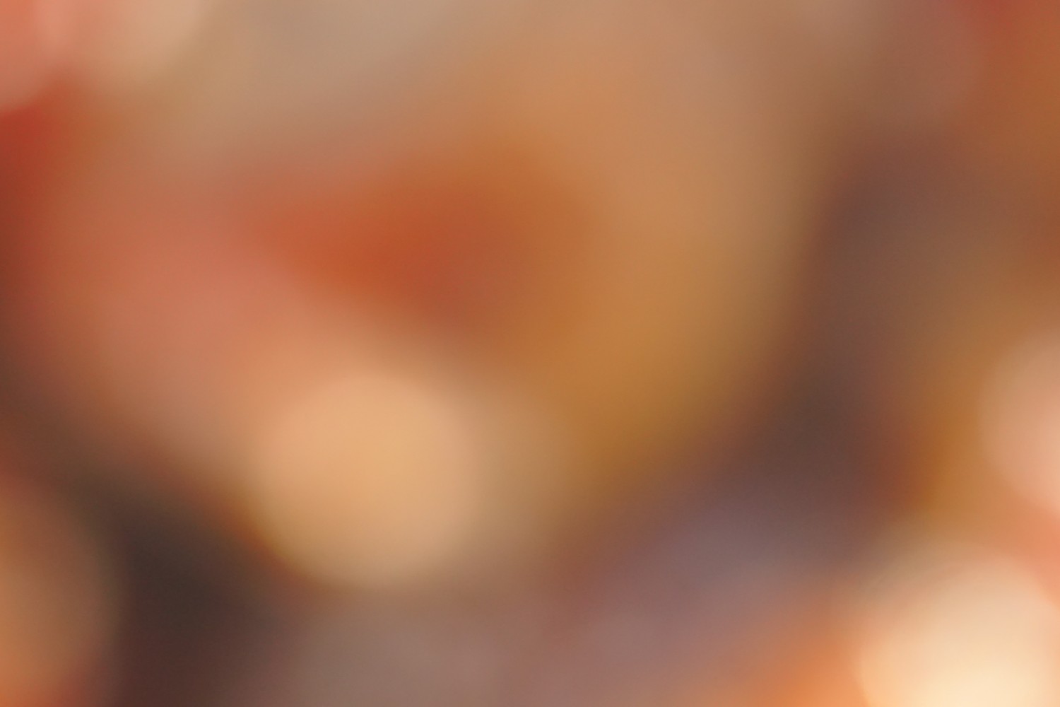 pain-naan-croustillant-tartinade-la-carotte