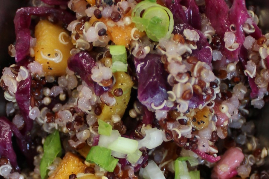 salade-de-courge-quinoa-chou-rouge-persil-frais-et-grenade-vinaigrette-au-cidre-de-pomme